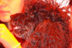 Resize of DSC04292.JPG